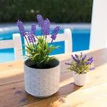 A 150m De La Playa Y Piscina Privada *