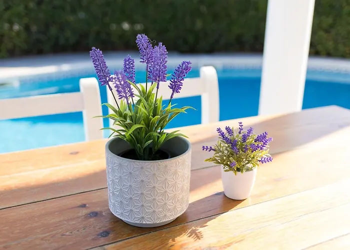 בית נופש A 150m De La Playa Y Piscina Privada